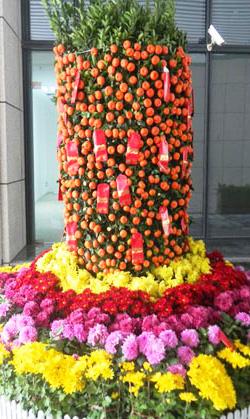 花?；ɑ苎ūP苗
